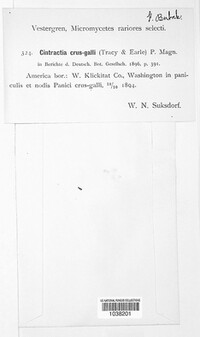 Image Associated With the Occurence